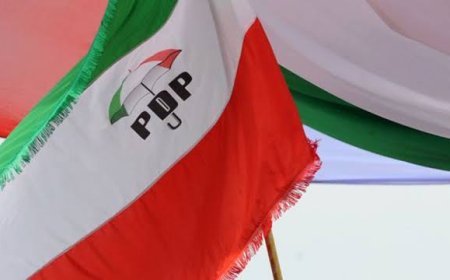 PDP Sets Up Disciplinary Committee To Investigate Allegations Against Damagum