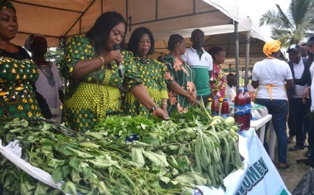 WFD: C'River Ranks Among Wheat Producing States In Nigeria, Says Agric. Commissioner