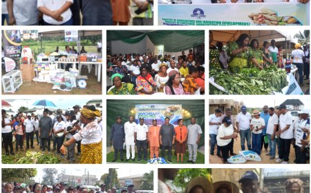 C'River Distributes Fertilizers, Feeds To Boost Food Production