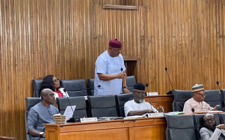 IGR: C’River Assembly Seeks Establishment Of Timber Market In Each Senatorial District