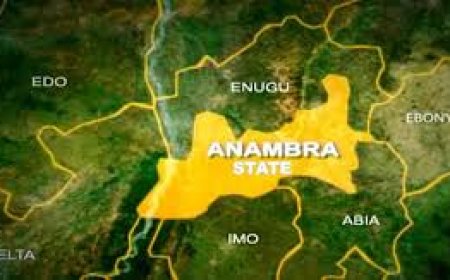 Anambra: Address Insecurity Or Resign, PDP Tells Soludo