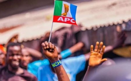 Cross River: APC clinches 8 councils as LG results trickle in