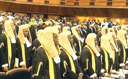 C'River: 70 Magistrates To Down Tools Nov. 13 Over Poor Welfare, Non-Implementation of Promotion, Regularisation Arrears