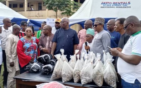 C'River Agric Commissioner Flags Off Distribution Of 3.5m Sprouted  Oil Palm Nut's To Farmers. ... Shares 77  MotorCycles To LG Agric Extension Officers