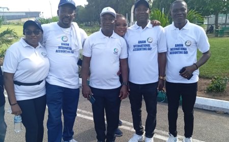Int'l Accounting Day: ANAN Stakeholders advocate for improved conditions of service for Accountants, professional development