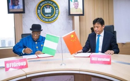 PRESS RELELASE:  BFI Group, CNCEC International Seal Agreement for Resuscitation of ALSCON'S 135MMscfd Gas Processing Plant