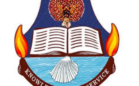 UNICAL Is 50, Ranks Among Top Research Institutions Globally, Says VC