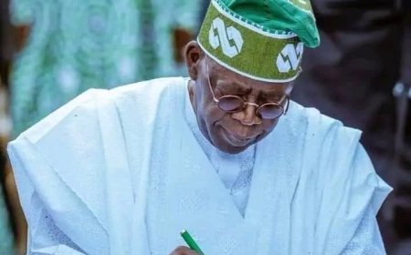 President Tinubu Sacks Nnamdi Azikiwe University Council, VC, Registrar