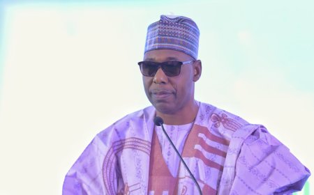 Zulum Approves Pay Rise For Borno Doctors To Equate FG Level