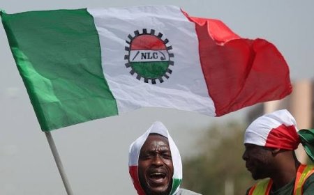 C' River Workers Commence 2-Day Warning Strike Ahead of December 1 Nationwide Industrial Action ...As Govt Begs NLC