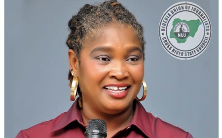 NUJ Chairman Hails Members Appointed Chief Press Secretaries, Sues For Professionalism in Media Related Appointments