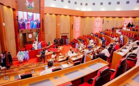 Senate Gives Update On  4 Tax Reform Bills