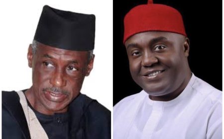 Abdullahi, Atuma Head North West, South East Development Commissions As Suleiman, Agballah, Ikpor Make List of New Boards