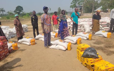 Flood: 5000 Farmers Lost Means of Livelihood in C'River Community, Lawmaker