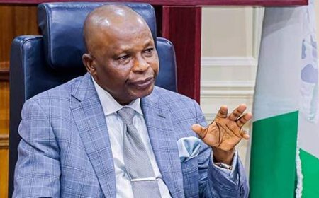 FG May Return To Supreme Court Over LG Elections