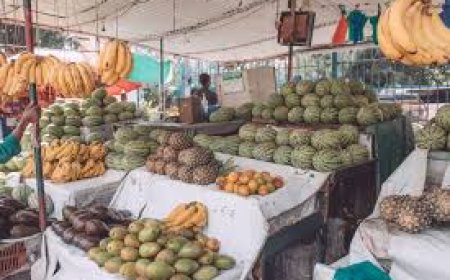 Ebonyi Gov't Exempts Perishable Goods Sellers From Tax