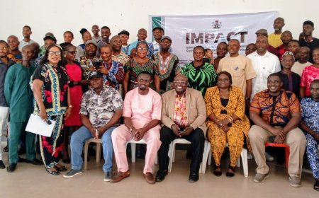 Cross River Expands IMPACT Project To All 196 Wards