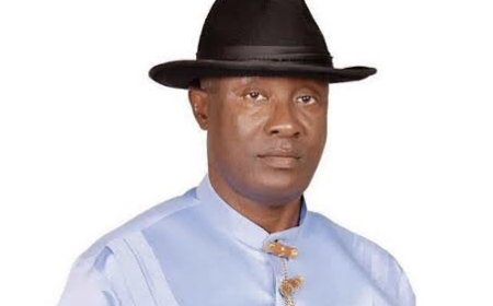 Delta APC Chieftain Blames Internal Crisis on Lack of Collaboration, Inclusivity.