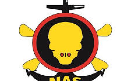 PALLIATIVE STAMPEDES: NAS CONDOLES DECEASED FAMILIES, CALLS ON FG TO TACKLE RISING HUNGER