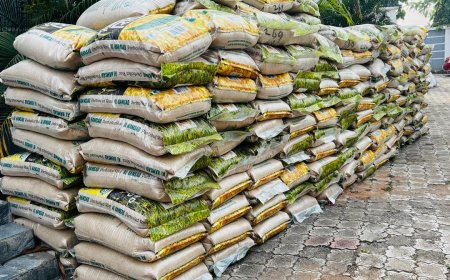 YULETIDE: CROSS RIVER NORTH NASS MEMBERS DOLE OUT N54M, 1,620 BAGS OF RICE TO CONSTITUENTS