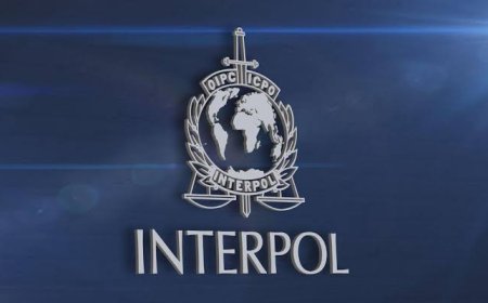 INTERPOL Declares 14 Nigerians Wanted For Drug, Human Trafficking, Treason