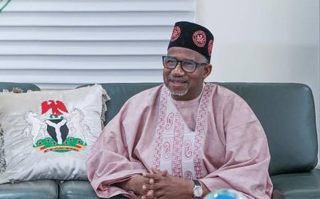 TINUBU'S TAX POLICIES ANTI NORTH, SAYS BAUCHI GOV