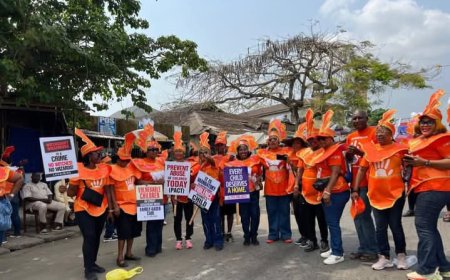 We're Using Carnival Calabar To Amplify GBV, Child Rights Issues- C'River  Commissioner