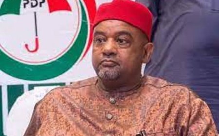 2027:"Plot To Oust TInubu Can't Succeed Without PDP'- Damagum