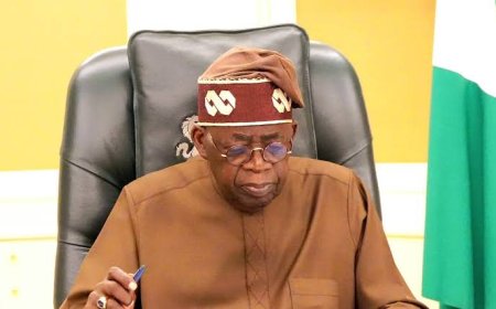 Tinubu Calls On Citizens To Hold LG Leaders Accountable  