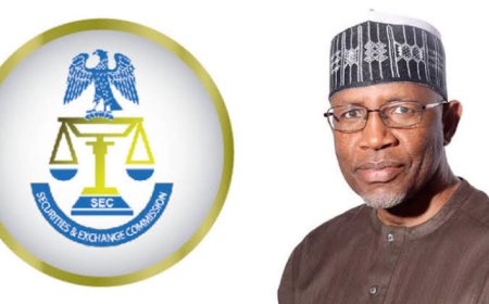 BUSINESS: SEC SET TO ERADICATE PONZI, PYRAMID SCHEMES