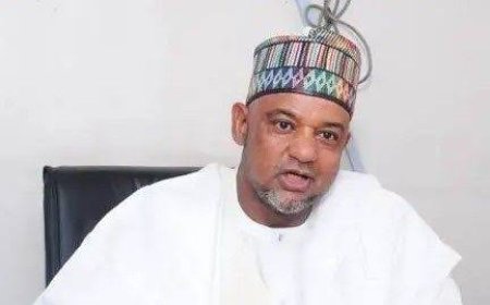 PDP National Chairman, Damagun, Working For APC Ahead of 2027
