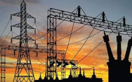 GRID COLLAPSES WILL CONTINUE - Minister of Power cries out