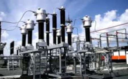 Treat Electricity Vandals As Economic Saboteurs, Says Commissioners of Power Forum