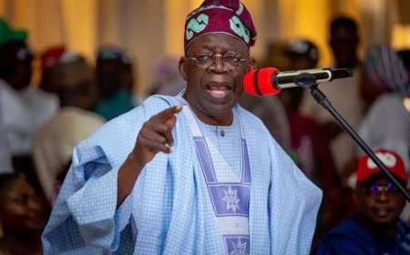 Governors Forum Dares Tinubu, Oppose VAT Increase, Approves New Sharing Formula