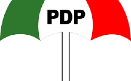 SENATOR ANYANWU REMAINS PDP NATIONAL SECRETARY