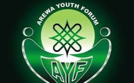 NORTHERN GOVERNORS ARE COWARDS, SAYS AREWA YOUTHS
