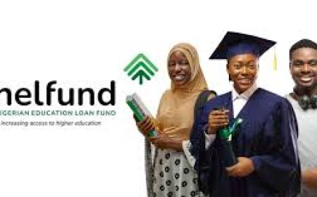 NELFUND DISBURSES N20.08BN TO 192,906 STUDENTS in January 2025 AS ADO BAYERO, MAIDUGURI, JOS VARSITIES TOP CHART