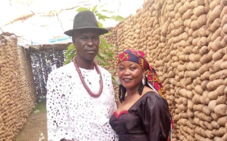 Cross River: Farmer Joins League of Highest Title Holder of 400 Sticks of Yams in Ugep Community