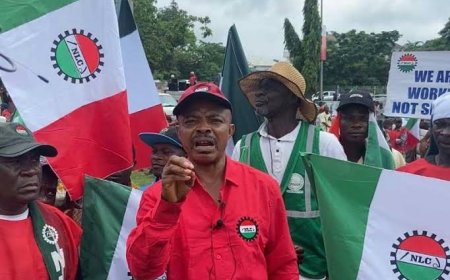 Resign now! NLC orders Power Minister