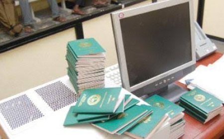 LG CHAIRMEN BESIEGE IMMIGRATION OFFICE FOR INTERNATIONAL PASSPORT