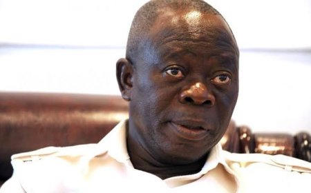 Retired Generals Behind Illegal Mining in Nigeria, Says Oshiomhole