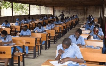 FG adds Hairstyling, Plumbing, GSM Repair, Bakery others to Basic Education curriculum