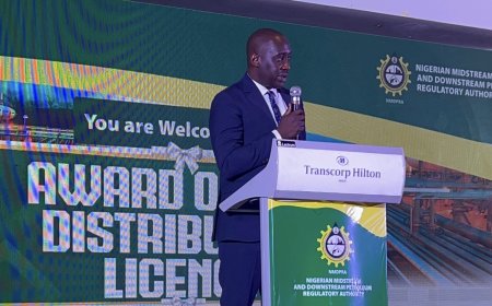 Gas Distribution Licence Award Will Stimulate Economic Growth and Sustainability, Says Sen Jarigbe