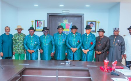 GOVS DIRI, OTU EMERGE NEW SOUTH-SOUTH GOVERNORS' FORUM CHAIRMAN, VICE CHAIRMAN