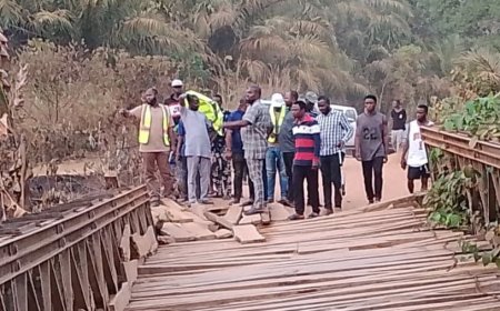 Sen Jarigbe Facilitates Construction of Amukwong Colonial Bridge in Obudu Community