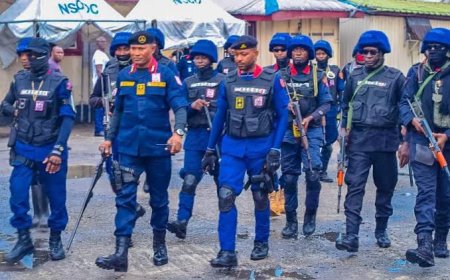 NSCDC arrest suspected 15 Illegal gold miners In Edo community