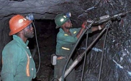 Reps Order Army, Police, DSS to Flush Out Illegal Foreign Miners In C' River As Community Leaders Protest