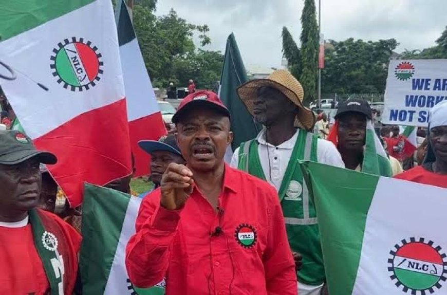 Resign now! NLC orders Power Minister 