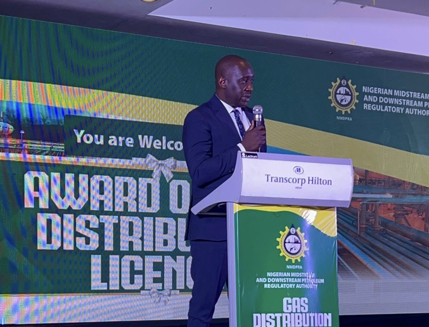 Gas Distribution Licence Award Will Stimulate Economic Growth and Sustainability, Says Sen Jarigbe