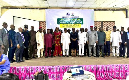 Cross River Stakeholders Validate 7-Year Roadmap for Cash Crop Development
